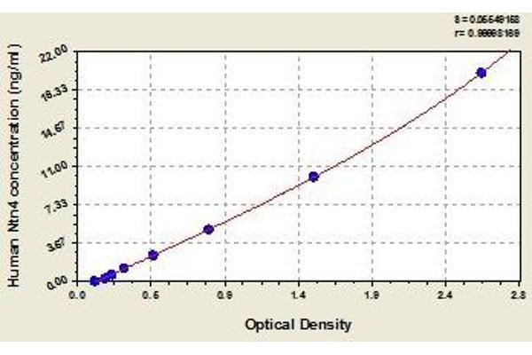 Netrin 4 ELISA Kit