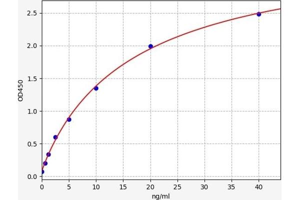 LCE3D ELISA Kit