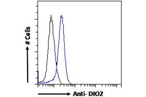 ABIN190862 Flow cytometric analysis of paraformaldehyde fixed MCF7 cells (blue line), permeabilized with 0. (DIO2 antibody  (Internal Region))