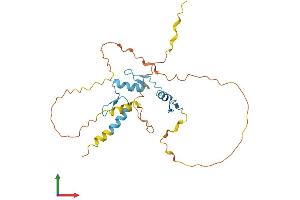 AlphaFold protein structure predicition of Human Recombinant OSR1 Protein, UniprotID Q8TAX0 (OSR1 Protein (AA 1-266) (His tag))
