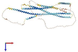 AlphaFold protein structure predicition of Human Recombinant GOLGA8IP Protein, UniprotID A6NC78 (GOLGA8IP Protein (AA 1-632) (His tag))