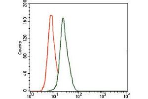 Image no. 3 for anti-delta-Like 4 (DLL4) antibody (ABIN1497856) (DLL4 antibody)