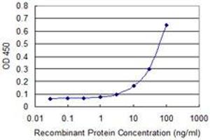 Detection limit for recombinant GST tagged SP1 is approximately 10ng/ml as a capture antibody. (SP1 antibody  (AA 522-618))