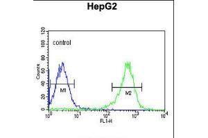 Flow cytometric analysis of HepG2 cells (right histogram) compared to a negative control cell (left histogram). (PYCR1 antibody  (C-Term))