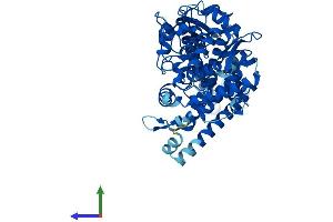 AlphaFold protein structure predicition of Human Recombinant CYP4F22 Protein, UniprotID Q6NT55 (CYP4F22 Protein (AA 1-531) (His tag))