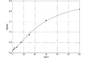Heat Shock 10kDa Protein 1 (Chaperonin 10) (HSPE1) ELISA Kit