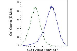 Validation of GDI1 knockdown using flow cytometry.