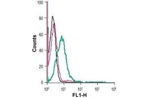 Cell surface detection of GLUT1 in live intact human Jurkat T-cell leukemia cells: (black line) Cells. (GLUT1 antibody  (Extracellular))