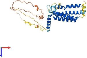 AlphaFold protein structure predicition of Mouse Recombinant Plpp6 Protein, UniprotID Q9D4F2 (PPAPDC2 Protein (AA 1-292) (His tag))