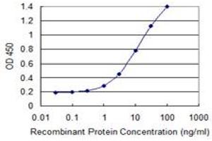 ZFP69 antibody  (AA 1-81)