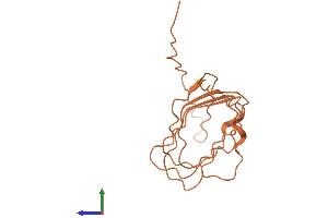 AlphaFold protein structure predicition of Human Recombinant PLAC4 Protein, UniprotID Q8WY50 (PLAC4 Protein (AA 1-150) (His tag))