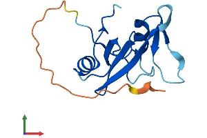 Protein Structure (PS) image for SH2 Domain Containing 1B (SH2D1B) (AA 1-132) protein (His tag) (ABIN7555535)