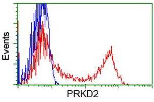 HEK293T cells transfected with either RC215335 overexpress plasmid (Red) or empty vector control plasmid (Blue) were immunostained by anti-PRKD2 antibody (ABIN2453510), and then analyzed by flow cytometry.