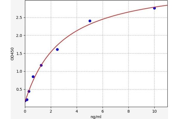 VCP ELISA Kit