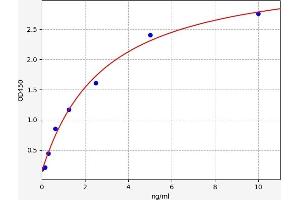 Typical standard curve (VCP ELISA Kit)
