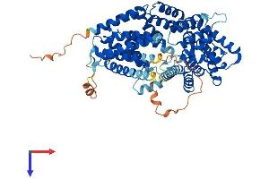 Protein Structure (PS) image for Tetratricopeptide Repeat Domain 39A (TTC39A) (AA 1-613) protein (His tag) (ABIN7544851)