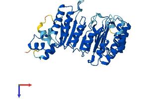 FBXL8 Protein (AA 1-374) (His tag)