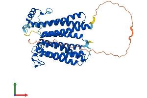 AlphaFold protein structure predicition of Mouse Recombinant Cox15 Protein, UniprotID Q8BJ03 (COX15 Protein (AA 1-413) (His tag))