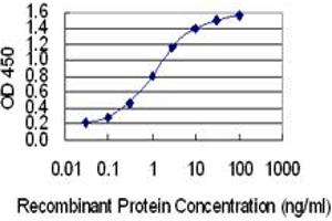 Detection limit for recombinant GST tagged JTV1 is 0. (AIMP2 antibody  (AA 1-100))