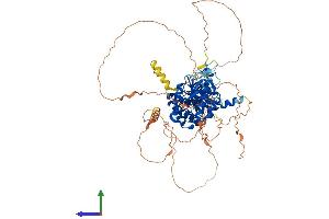 Protein Structure (PS) image for Phosphatidylinositol-4-Phosphate 5-Kinase, Type I, gamma (PIP5K1C) (AA 1-668) protein (His tag) (ABIN7554964)