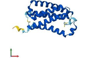 AlphaFold protein structure predicition of Mouse Recombinant Tmem220 Protein, UniprotID Q8BP07 (TMEM220 Protein (AA 1-167) (His tag))