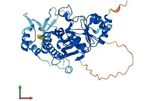 AlphaFold protein structure predicition of Human Recombinant INPP1 Protein, UniprotID P49441 (INPP1 Protein (AA 1-399) (His tag))