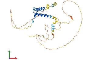 Protein Structure (PS) image for Paired-Like Homeodomain 2 (PITX2) (AA 1-317) protein (His tag) (ABIN7550800)