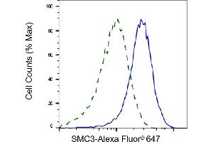 Validation of SMC3 knockdown using flow cytometry. (Recombinant SMC3 antibody)