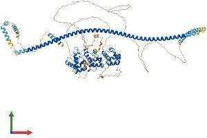 AlphaFold protein structure predicition of Mouse Recombinant Ppfibp2 Protein, UniprotID O35711 (PPFIBP2 Protein (AA 1-882) (His tag))