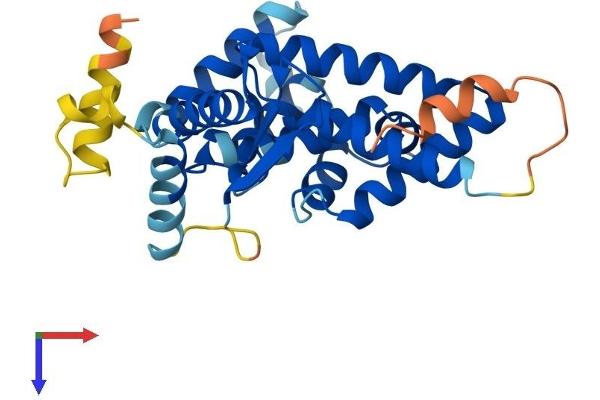 LIX1 Protein (AA 1-282) (His tag)