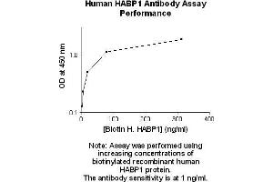 Image no. 2 for anti-Complement Component 1, Q Subcomponent Binding Protein (C1QBP) antibody (ABIN1803614) (C1QBP antibody)