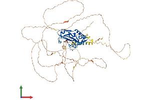Protein Structure (PS) image for T-Box 2 (TBX2) (AA 1-711) protein (His tag) (ABIN7557597)