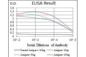 Black line: Control Antigen (100 ng), Purple line: Antigen(10 ng), Blue line: Antigen (50 ng), Red line: Antigen (100 ng), (ARHGDIA antibody  (AA 1-204))