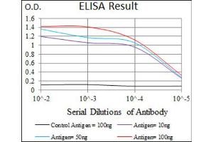 Red: Control Antigen (100ng) ; Purple: Antigen (10ng) ; Green: Antigen (50ng) ; Blue: Antigen (100ng). (Prosaposin antibody  (AA 325-524))