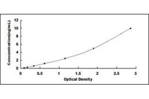 Typical standard curve (Fibronectin ELISA Kit)