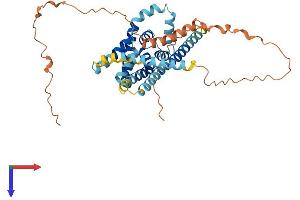 AlphaFold protein structure predicition of Mouse Recombinant Tmem64 Protein, UniprotID Q3U145 (TMEM64 Protein (AA 1-381) (His tag))