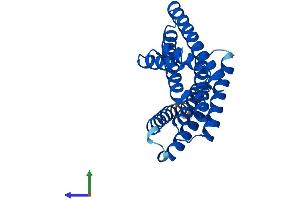 AlphaFold protein structure predicition of Human Recombinant YWHAZ Protein, UniprotID P63104 (14-3-3 zeta Protein (YWHAZ) (AA 1-245) (His tag))