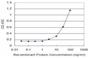 Detection limit for recombinant GST tagged CYP2D6 is approximately 3ng/ml as a capture antibody. (CYP2D6 antibody  (AA 91-190))