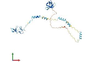 AlphaFold protein structure predicition of Mouse Recombinant Nebl Protein, UniprotID Q9DC07 (Nebulette Protein (NEBL) (AA 1-270) (His tag))
