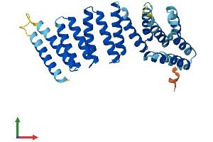 AlphaFold protein structure predicition of Human Recombinant NAPA Protein, UniprotID P54920 (NAPA Protein (AA 1-295) (His tag))