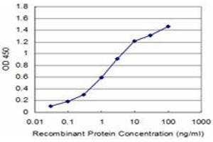 Detection limit for recombinant GST tagged FADD is approximately 0. (FADD antibody  (AA 109-208))