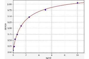 GSTT1 ELISA Kit