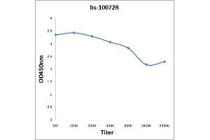 Antigen: 0. (VEGFB antibody  (AA 101-207))