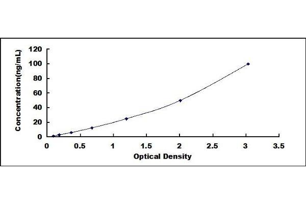 IgM ELISA Kit