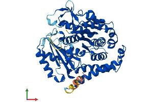 Protein Structure (PS) image for Tubulin beta 4a (TUBB4A) (AA 1-444) protein (His tag) (ABIN7544290)
