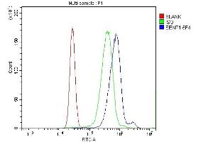 Flow Cytometry analysis of K562 cells using anti-SENP1 antibody (ABIN7600423). (SENP1 antibody  (AA 19-619))