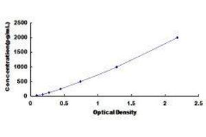 ELISA image for Tumor Necrosis Factor (Ligand) Superfamily, Member 9 (TNFSF9) ELISA Kit (ABIN419580) (TNFSF9 ELISA Kit)