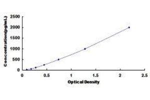 ELISA image for Tumor Necrosis Factor (Ligand) Superfamily, Member 9 (TNFSF9) ELISA Kit (ABIN3167173) (TNFSF9 ELISA Kit)