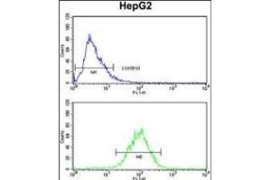 SPCS3 Antibody (C-term) (ABIN390623 and ABIN2840930) flow cytometry analysis of HepG2 cells (bottom histogram) compared to a negative control cell (top histogram). (SPCS3 antibody  (C-Term))