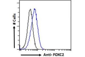 Flow Cytometry (FACS) image for anti-Forkhead Box C2 (MFH-1, Mesenchyme Forkhead 1) (FOXC2) (C-Term) antibody (ABIN185029)